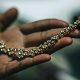 Most districts from TN, Gujarat included in hallmarking