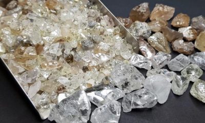 Indian government mandates self-regulation for Import-Export of rough diamonds