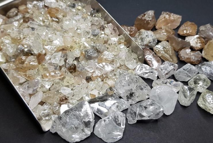 Indian government mandates self-regulation for Import-Export of rough diamonds