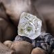 Alrosa suspends NDC membership