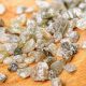 NMDC conducts e-auction of 8,337 carats rough diamonds from Panna mines