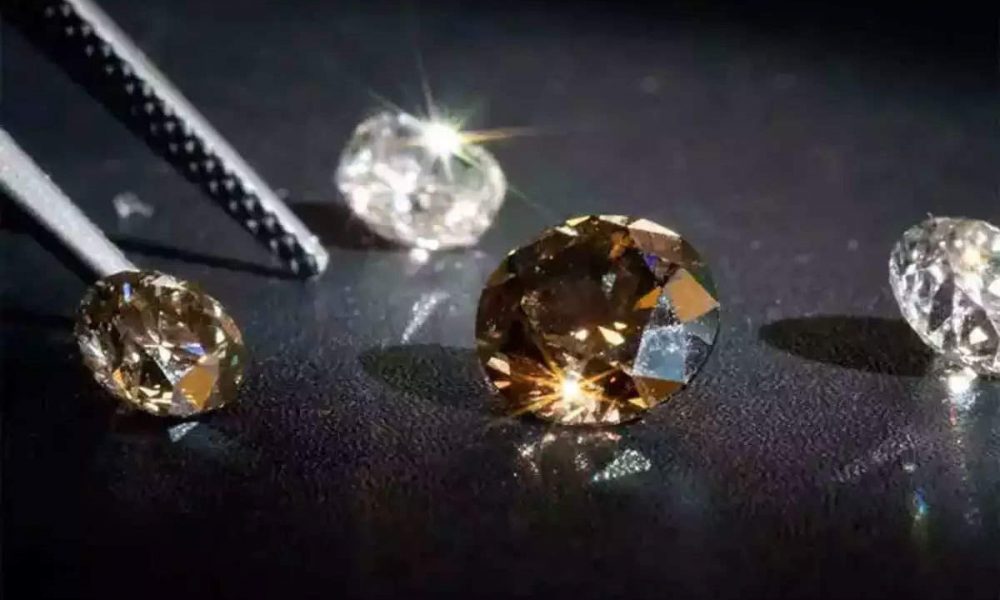 Piyush Goyal meets stakeholders of lab-grown diamond industry