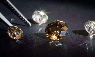 Piyush Goyal meets stakeholders of lab-grown diamond industry