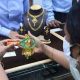 Around 3.7 crore jewellery hallmarked during April-July: Bureau of Indian Standards