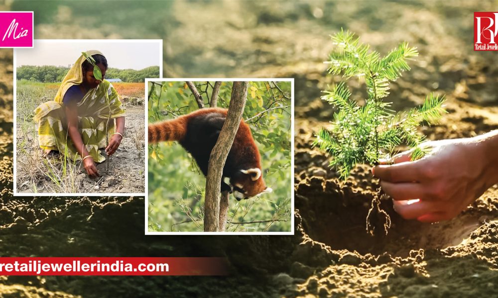 Mia by Tanishq recently added a unique element to its Old Gold Exchange Programme by linking it with a tree plantation initiative, creating a direct connection between jewellery purchase and environmental contribution