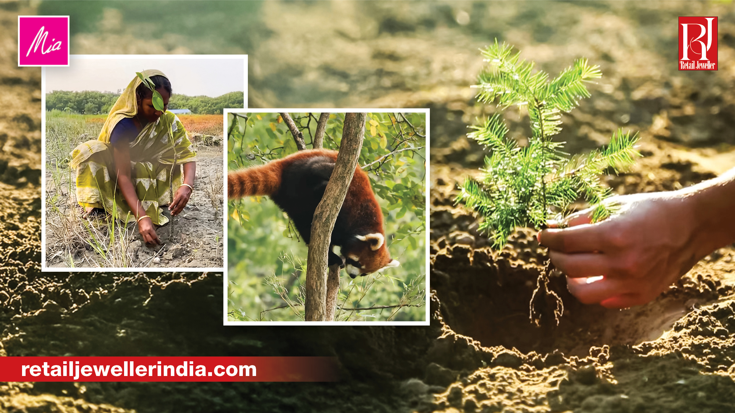 Mia by Tanishq recently added a unique element to its Old Gold Exchange Programme by linking it with a tree plantation initiative, creating a direct connection between jewellery purchase and environmental contribution