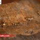 At the annual JCK Las Vegas Show, the De Beers Group introduced ‘Desert Diamonds Icons’, while setting out its view on the way forward for the natural diamond sector